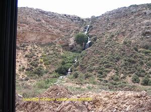 ORAN MAI 2008 3230_cascade eaux usees aux genets